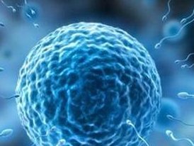 在喀什地区第一人民医院做试管婴儿要多少钱？成功率怎么样？附试管怀孕机构名单一览