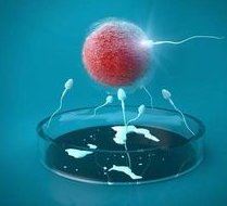 2026在马鞍山市做基因检测多少钱？基因筛查可以规避哪些遗传病？