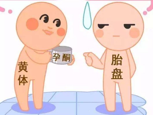 靠谱的安徽试管机构推荐名单，附介绍。