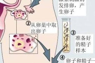 2026年杭州市妇幼保健院能做试管婴儿吗？