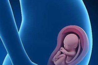 在北京大学人民医院做试管婴儿要多少钱？成功率怎么样？附试管怀孕机构名单一览